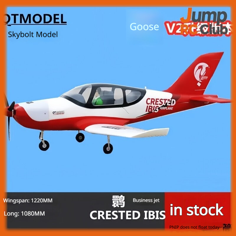 Rc Hobby Experts - Радиоуправляемый самолет-амфибия QT Model RC: Крылатый
