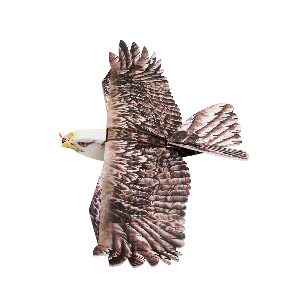 Rc Hobby Experts - DW Hobby Eagle II EPP Самолет