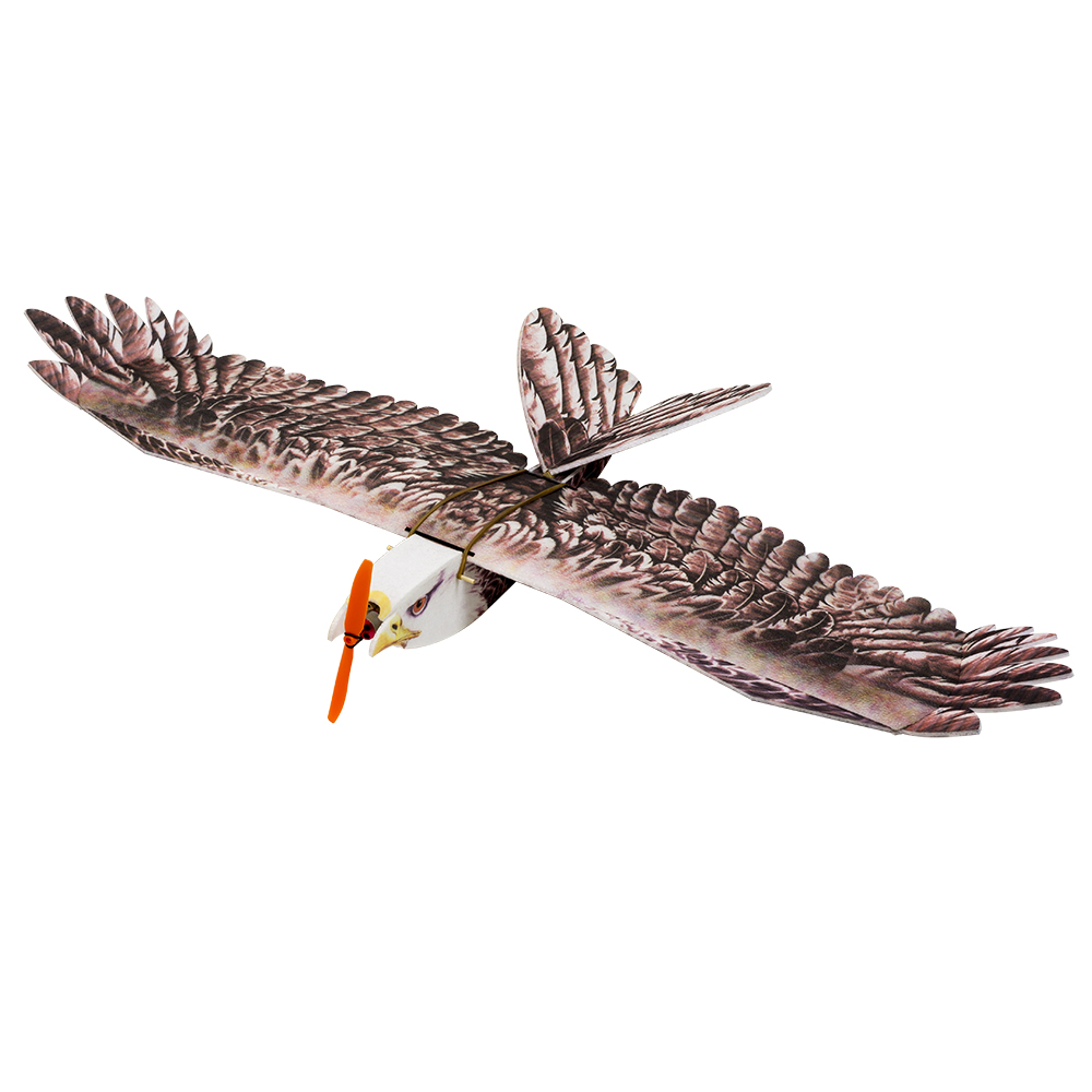DW Hobby Eagle II EPP Самолет  – обзор и цена Rc Hobby Experts