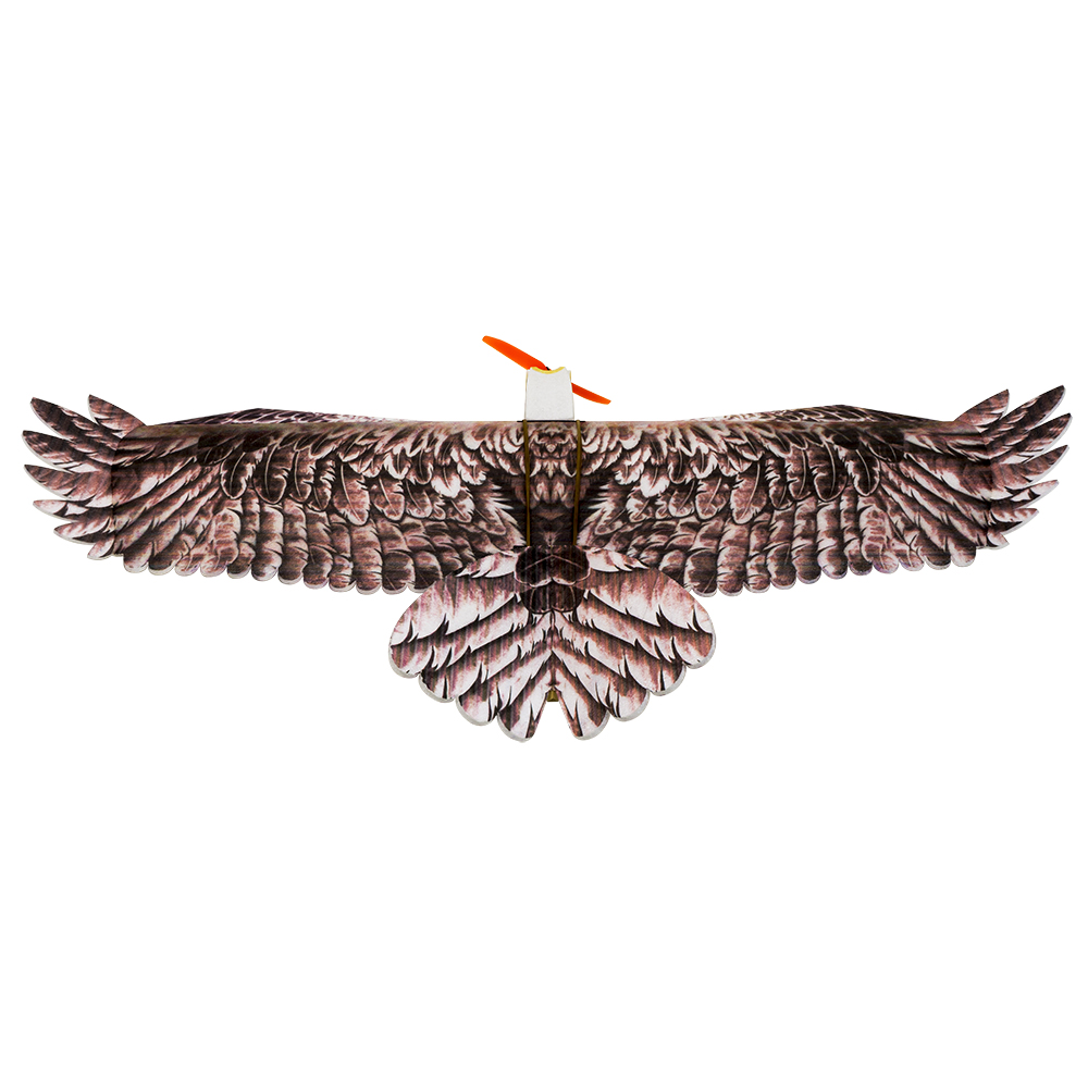 DW Hobby Eagle II EPP Самолет  – обзор и цена Rc Hobby Experts